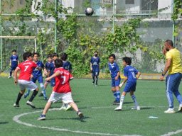 MIS Sports